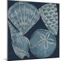 Marine Shells IV-Chariklia Zarris-Mounted Art Print