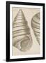 Marine Studies III-Maria Mendez-Framed Giclee Print