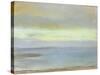 Marine Sunset, C.1869-Edgar Degas-Stretched Canvas