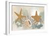 Marine Tableau II-June Vess-Framed Art Print