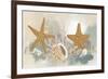 Marine Tableau II-June Vess-Framed Premium Giclee Print