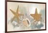 Marine Tableau II-June Vess-Framed Art Print