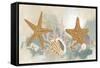 Marine Tableau II-June Vess-Framed Stretched Canvas