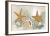 Marine Tableau II-June Vess-Framed Art Print