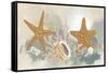 Marine Tableau II-June Vess-Framed Stretched Canvas