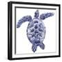 Marine Turtle II-Grace Popp-Framed Art Print