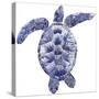 Marine Turtle II-Grace Popp-Stretched Canvas