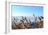 Marine Winter Landscape-Sonet999-Framed Photographic Print