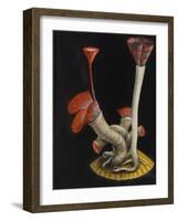 Marine Worms: Serpula-Philip Henry Gosse-Framed Giclee Print