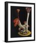 Marine Worms: Serpula-Philip Henry Gosse-Framed Giclee Print