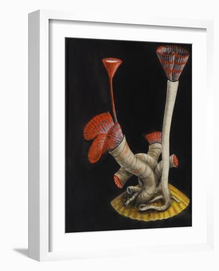 Marine Worms: Serpula-Philip Henry Gosse-Framed Giclee Print