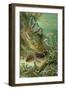 Marine Worms-Science Source-Framed Giclee Print