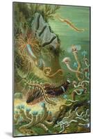Marine Worms-Science Source-Mounted Giclee Print