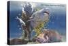 Marineland, Florida - Diver Moving Drugged Shark at Marine Studios-Lantern Press-Stretched Canvas
