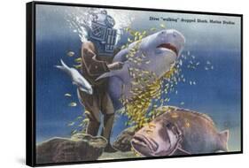 Marineland, Florida - Diver Moving Drugged Shark at Marine Studios-Lantern Press-Framed Stretched Canvas