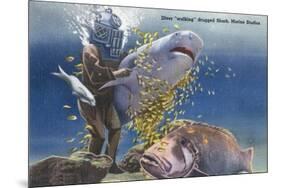 Marineland, Florida - Diver Moving Drugged Shark at Marine Studios-Lantern Press-Mounted Art Print