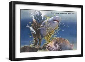 Marineland, Florida - Diver Moving Drugged Shark at Marine Studios-Lantern Press-Framed Art Print