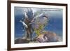 Marineland, Florida - Diver Moving Drugged Shark at Marine Studios-Lantern Press-Framed Premium Giclee Print