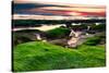 Marineland, Florida: Sunrise at the Beach with Algae Covered Rocks-Brad Beck-Stretched Canvas