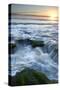 Marineland, Florida: Waves Crashing over the Algae Covered Rocks-Brad Beck-Stretched Canvas