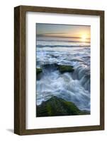 Marineland, Florida: Waves Crashing over the Algae Covered Rocks-Brad Beck-Framed Photographic Print