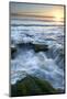 Marineland, Florida: Waves Crashing over the Algae Covered Rocks-Brad Beck-Mounted Photographic Print