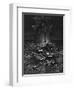 Mariner, Rotting Sea-Gustave Doré-Framed Photographic Print