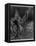 Mariner Watersnakes-Gustave Dor?-Framed Stretched Canvas