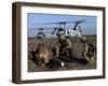 Marines and Sailors Conducted a Mass Casualty Exercise on San Clemente Island-Stocktrek Images-Framed Photographic Print