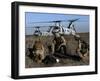 Marines and Sailors Conducted a Mass Casualty Exercise on San Clemente Island-Stocktrek Images-Framed Photographic Print