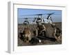 Marines and Sailors Conducted a Mass Casualty Exercise on San Clemente Island-Stocktrek Images-Framed Photographic Print