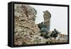 Marines Climbing Ruins-null-Framed Stretched Canvas