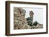 Marines Climbing Ruins-null-Framed Photographic Print