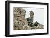 Marines Climbing Ruins-null-Framed Photographic Print