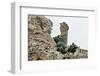 Marines Climbing Ruins-null-Framed Photographic Print