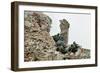 Marines Climbing Ruins-null-Framed Photographic Print