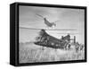 Marines Fanning Out from Their Twin Rotor Piasecki-Hank Walker-Framed Stretched Canvas