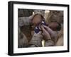 Marines Fold an American Flag after It was Raised in Memory of a Fallen Soldier-Stocktrek Images-Framed Photographic Print