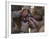 Marines Fold an American Flag after It was Raised in Memory of a Fallen Soldier-Stocktrek Images-Framed Photographic Print