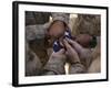 Marines Fold an American Flag after It was Raised in Memory of a Fallen Soldier-Stocktrek Images-Framed Photographic Print