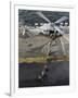 Marines Prepare to Board an MH-60S Sea Hawk Helicopter Aboard USS Peleliu-Stocktrek Images-Framed Photographic Print