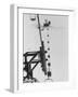 Marines Riding Chair Lift Up to Squaw Peak To Ski Down and Tamp Snow Down for Olympic Events-George Silk-Framed Photographic Print