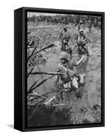 Marines Searching for Viet Cong in the Delta-null-Framed Stretched Canvas