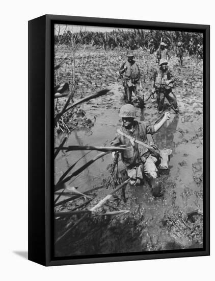 Marines Searching for Viet Cong in the Delta-null-Framed Stretched Canvas