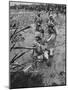 Marines Searching for Viet Cong in the Delta-null-Mounted Photographic Print