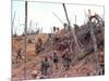 Marines Vietnam-Associated Press-Mounted Photographic Print