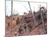 Marines Vietnam-Associated Press-Mounted Photographic Print