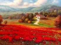 Poppy Fields Afar-Marino-Art Print