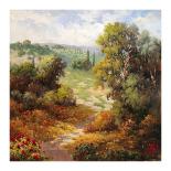 Poppyhill Village-Marino-Framed Art Print