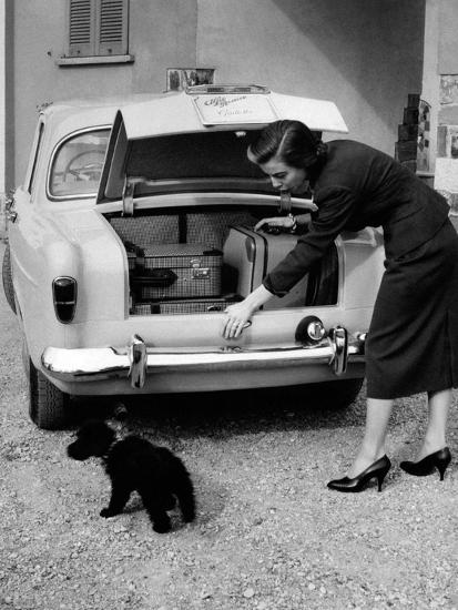 Photographic Print, , large